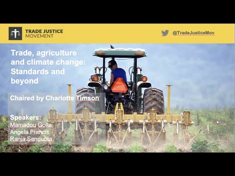 Trade, agriculture and climate change: standards and beyond