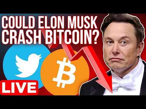 Could Elon Musk &amp; Twitter Deal Crash Bitcoin and Crypto Market?