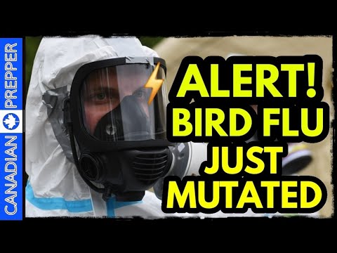 ⚡ALERT: BIRD FLU: The Next Great Pandemic? w/ Epidemiologist Robert Niezgoda