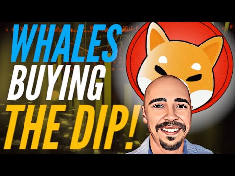 SHIBA INU WHALES ARE BUYING THE DIP!