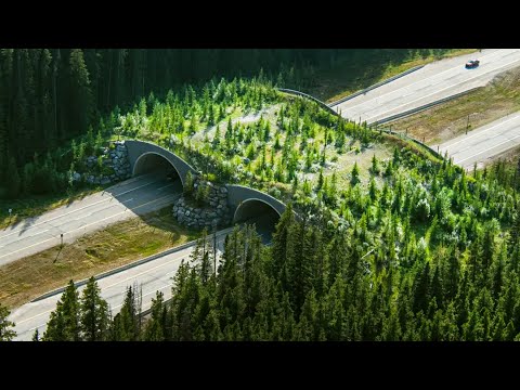 15 UNUSUAL Infrastructure and Transportation Systems