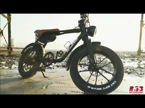 BGB Warthog Fat Tyre eBike Promo