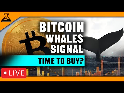 Crypto Whale Signals...Time To Buy Bitcoin!? Watch This First! TA &amp; Trading Strategies