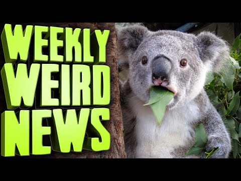 Australia Can&#039;t Wipe Its Butt - Weekly Weird News