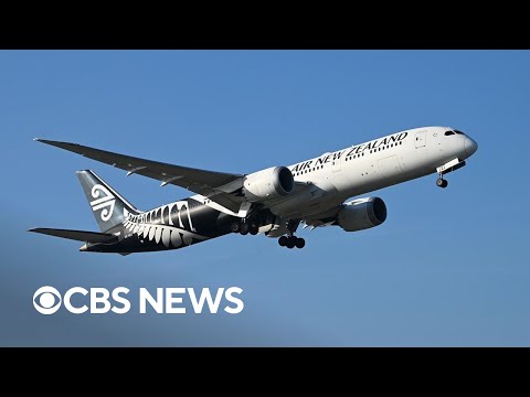 Air New Zealand abandons 2030 goal to cut carbon emissions