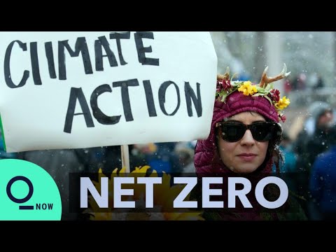 Negative Emissions Could Become A Trillion-dollar Industry | Net Zero