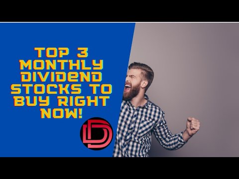 My Top 3 Dividend Stocks 2021 August I Monthly Dividend Investing and REIT Investing