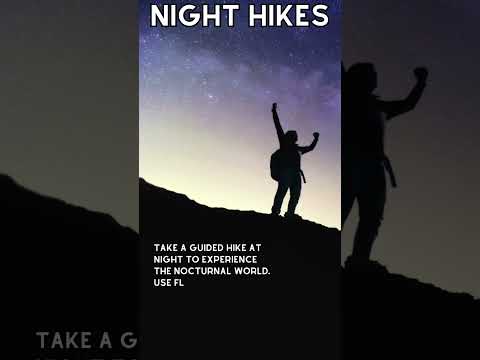 Experience the Magic of Night Hikes: Unforgettable Family Camping Adventures