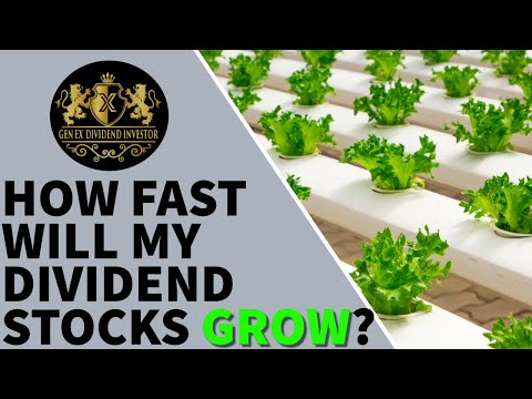 How Fast Will my Dividend Stocks GROW?