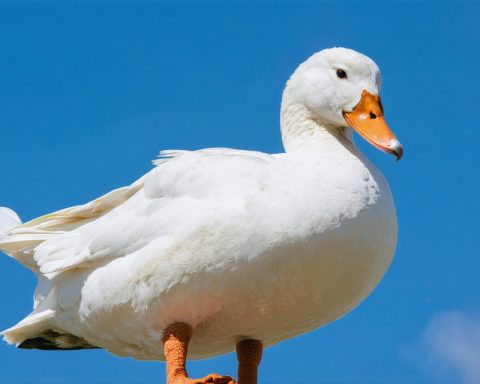 What’s Behind the Big Insider Sell-Off at Aflac?